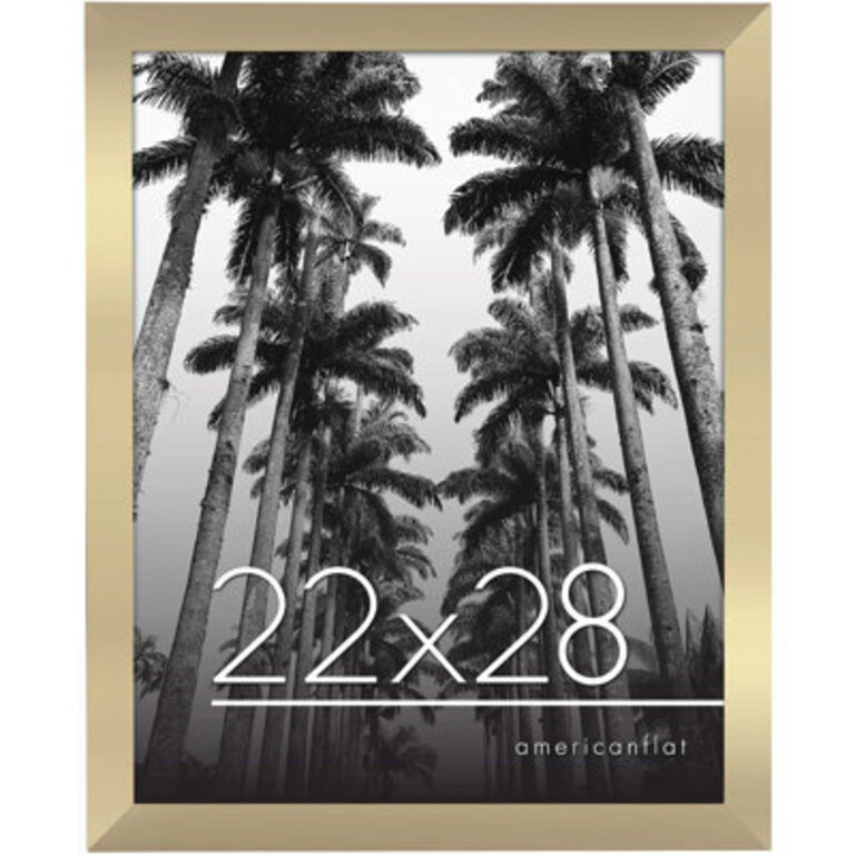 Signature Poster Frame Composite Wood and Plexiglass Cover Hanging Hardware included