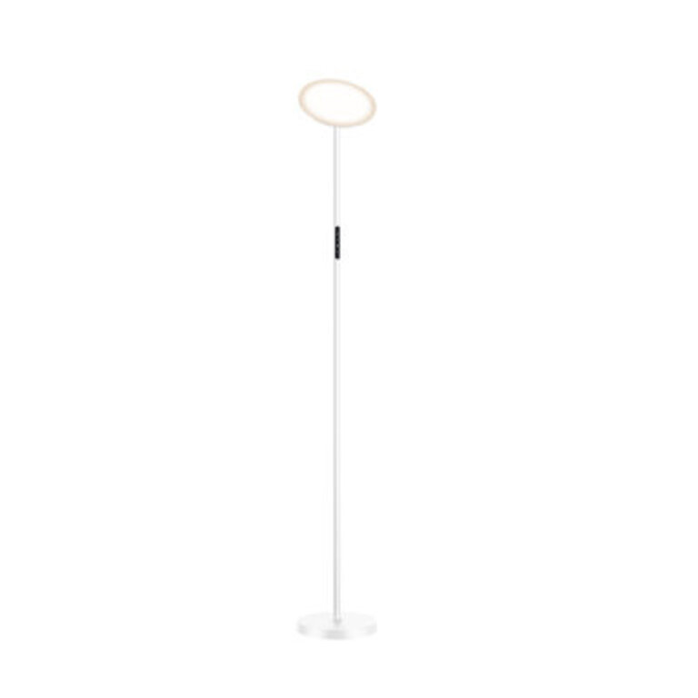 Jernell  LED Dimmable Torchiere Floor Lamp with Remote Control