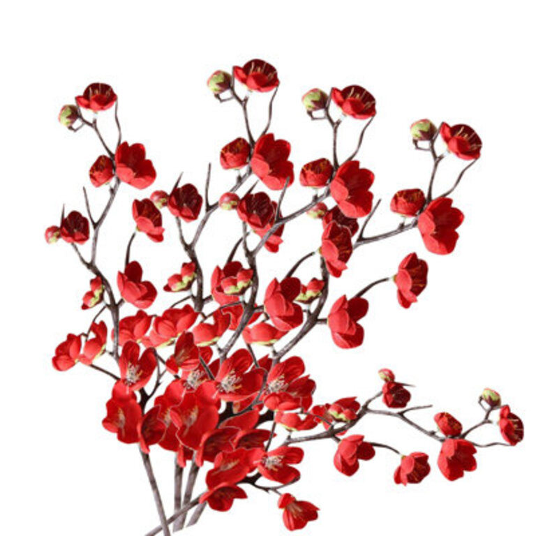 Cherry Blossom Stems Cherry Blossom Stems