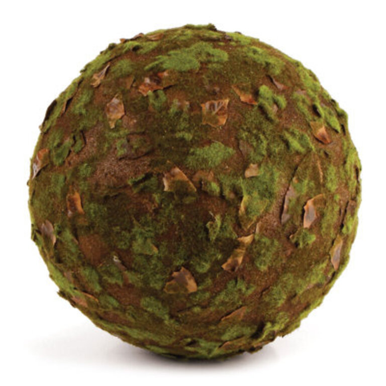 Rustic Desktop Moss Topiary