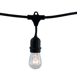 Jothan 48-ft Outdoor 15 - Bulb Standard String Light End to End Connectable