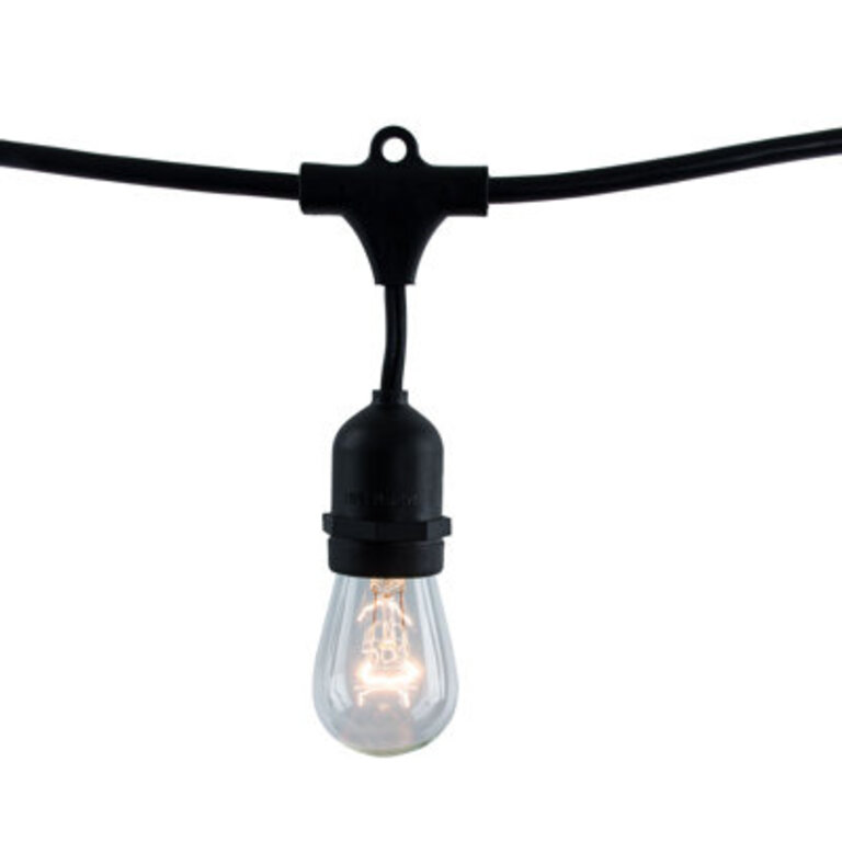 Jothan 48-ft Outdoor 15 - Bulb Standard String Light End to End Connectable