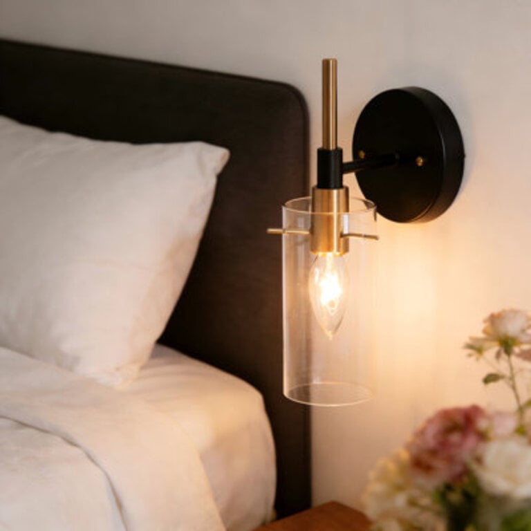 1 - Light Dimmable BlackBrass Armed Sconce