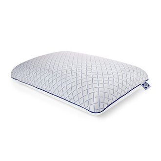 Sealy To Go Cool Touch Memory Foam Pillow