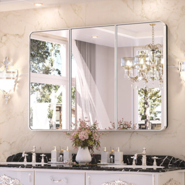 Gervon Rectangle Recessed Medicine Cabinet with Shelves