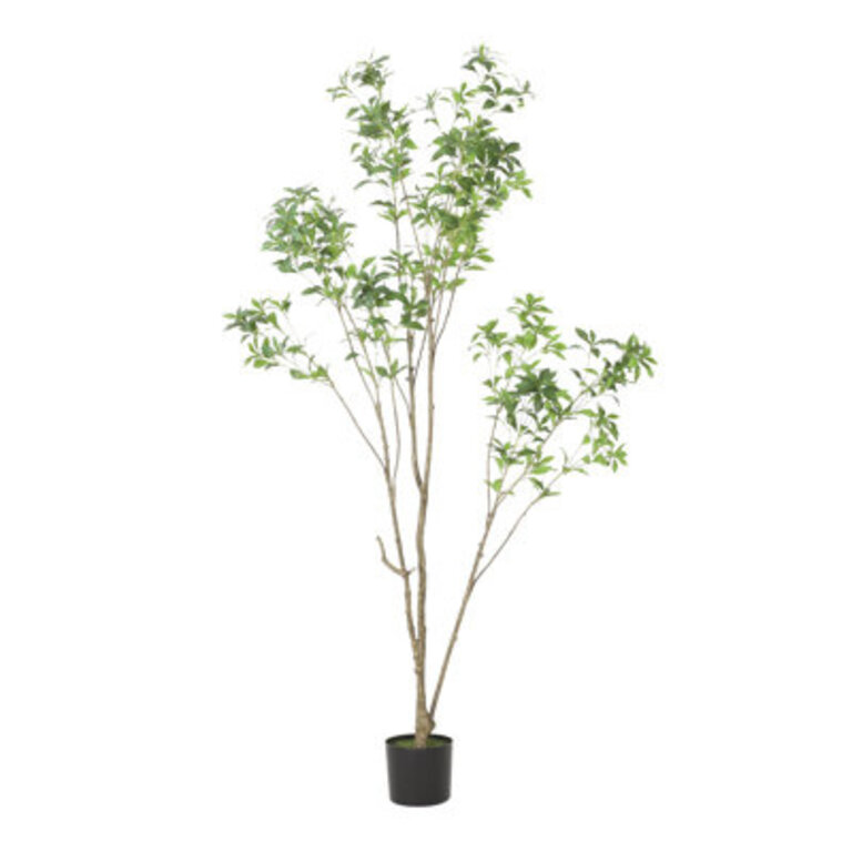 827 Faux Eucalyptus Tree in Planter