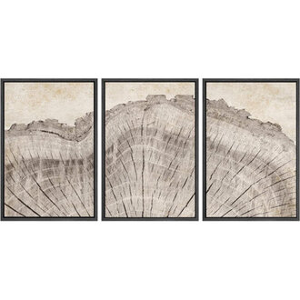 Tree Ring Rustic Oak Wood Stump Artwork Farmhouse Cabin Decor Neutral Wall Pictures 3 Pieces Framed Canvas Digital Giclee Print Wall Art