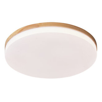 Trotman Acrylic LED Flush Mount