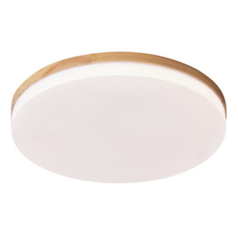 Trotman Acrylic LED Flush Mount