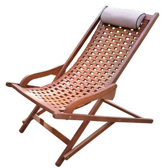 Kinsler Swing Lounger with Cushion