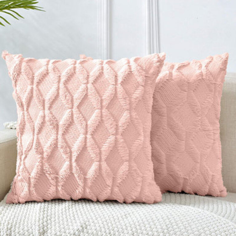 Set of 2 Throw Pillow Covers Matching Color Combo