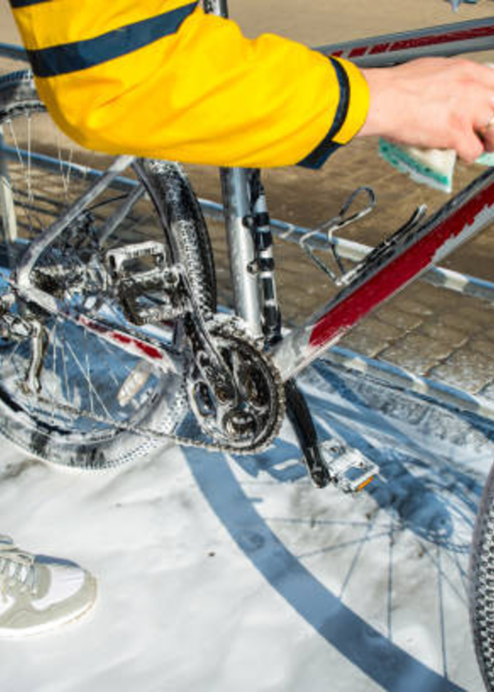 Bike Wash & Detail