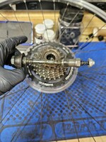 Rear Hub Overhaul