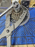 Replace Rear Cassette