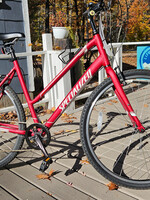 Specialized Crossroads 1.0 hybrid bike