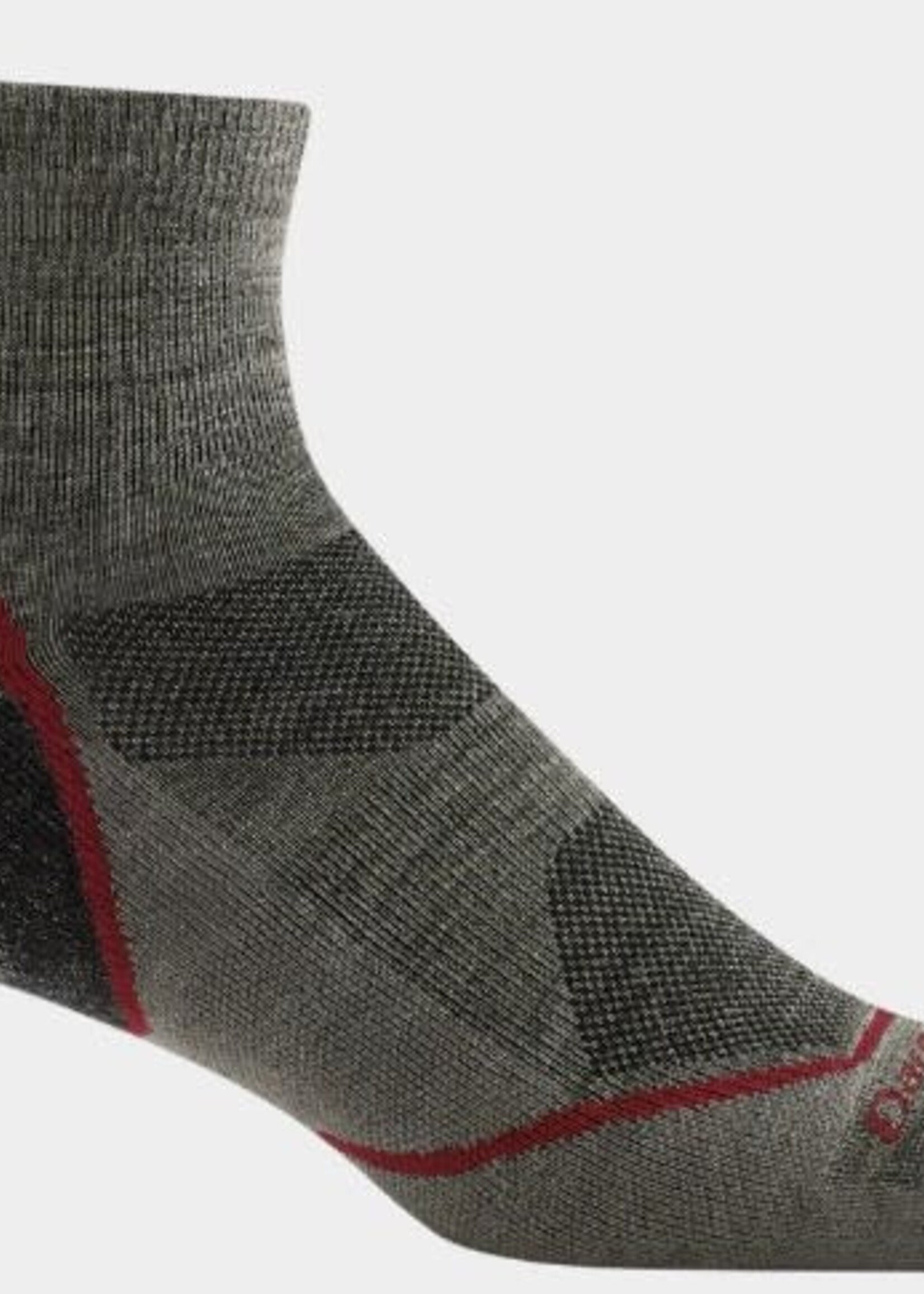 Darn Tough Men's Light Hiker Quarter Lightweight Hiking Socks (1991) Taupe