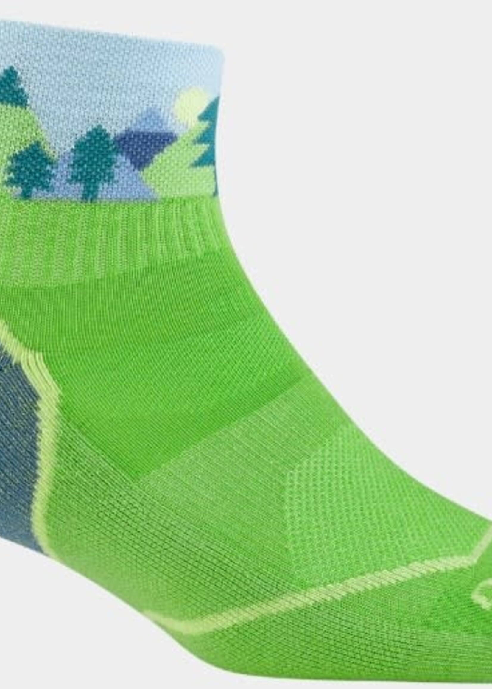 Darn Tough Kids Quest Quarter Lightweight Hiking Socks (3041)