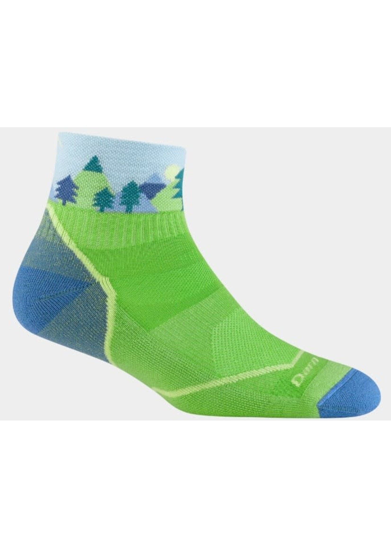 Darn Tough Kids Quest Quarter Lightweight Hiking Socks (3041)