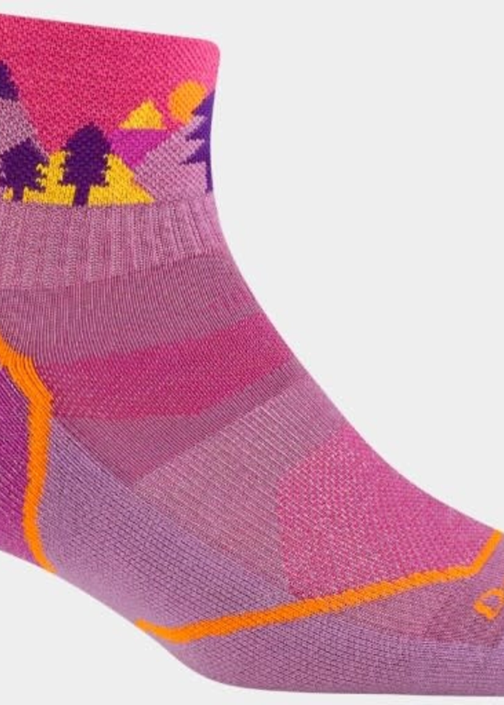 Darn Tough Kids Quest Quarter Lightweight Hiking Socks (3041)