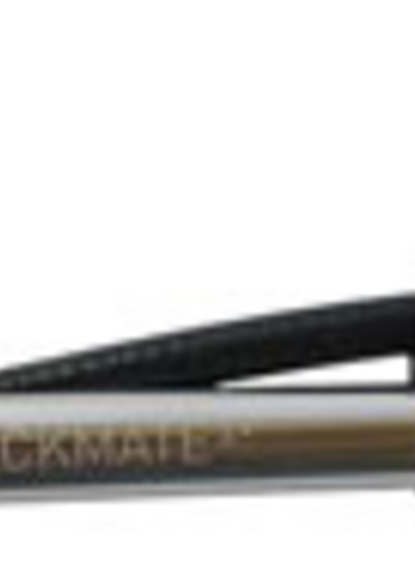 Planet Bike Planet Bike Shockmate 3.0 Hgh/Low Pressure Suspension Pump