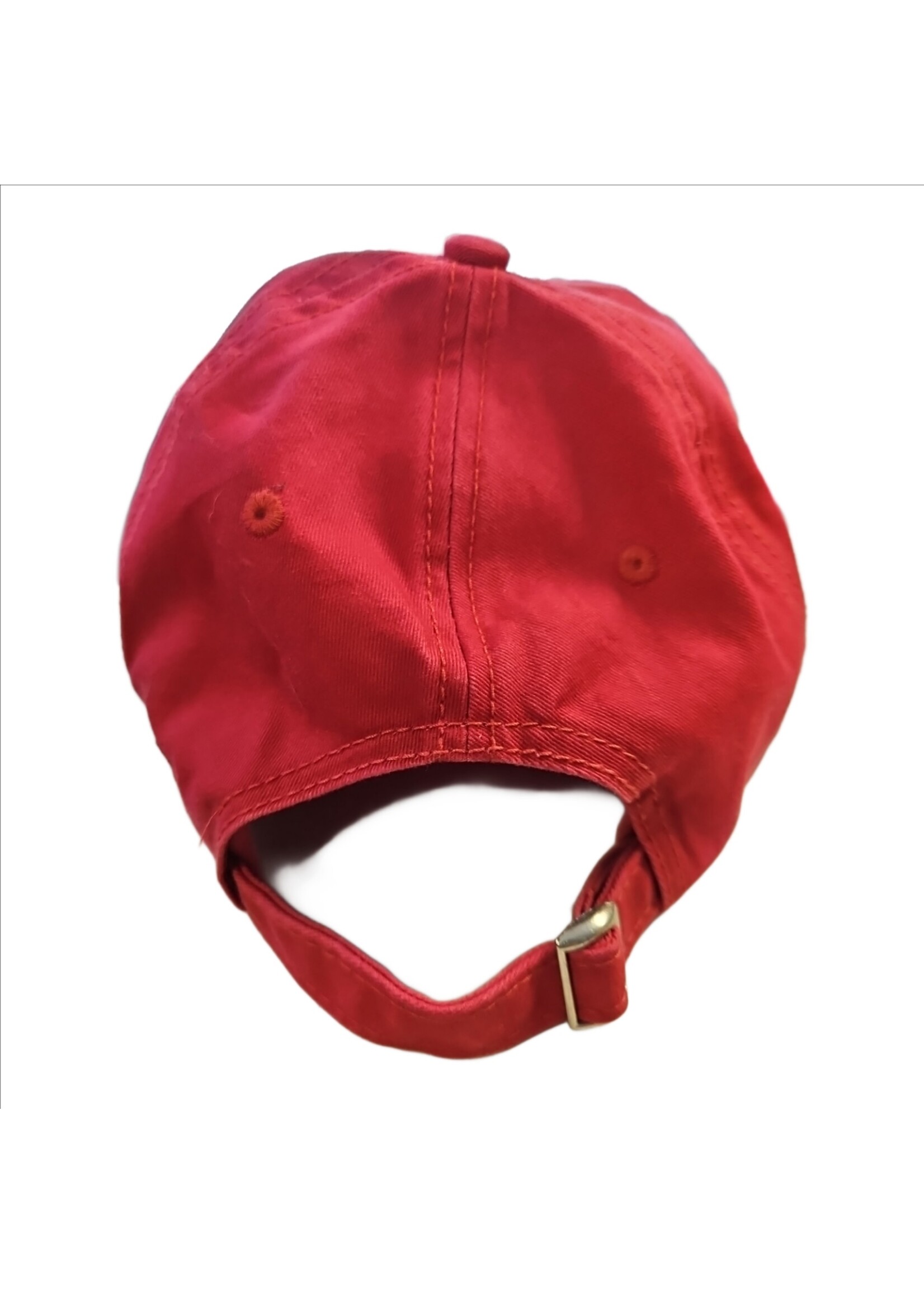 Higgins Lake Anchor ballcap -