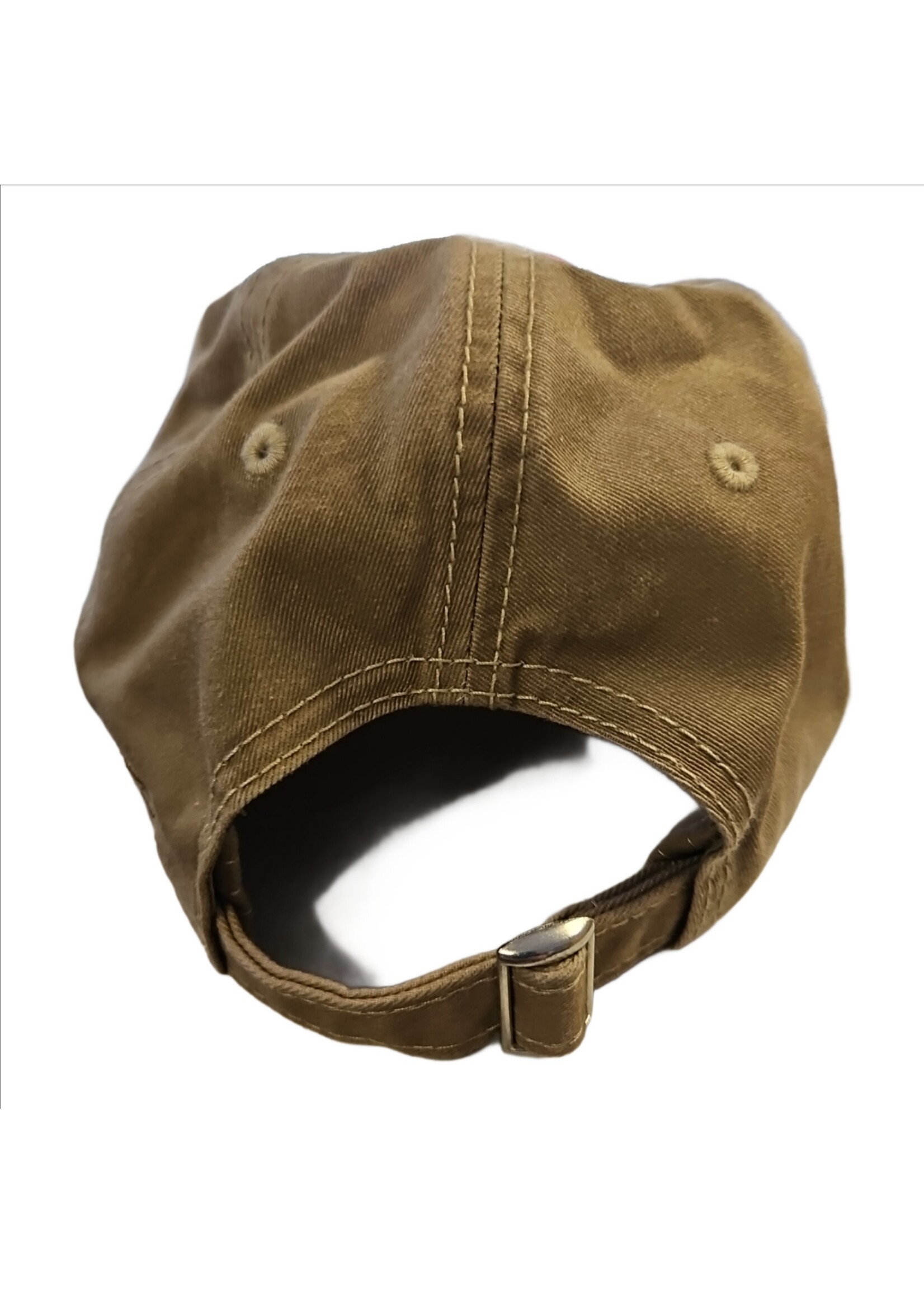 Higgins Lake Anchor ballcap -