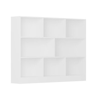 Anesha Bookcase