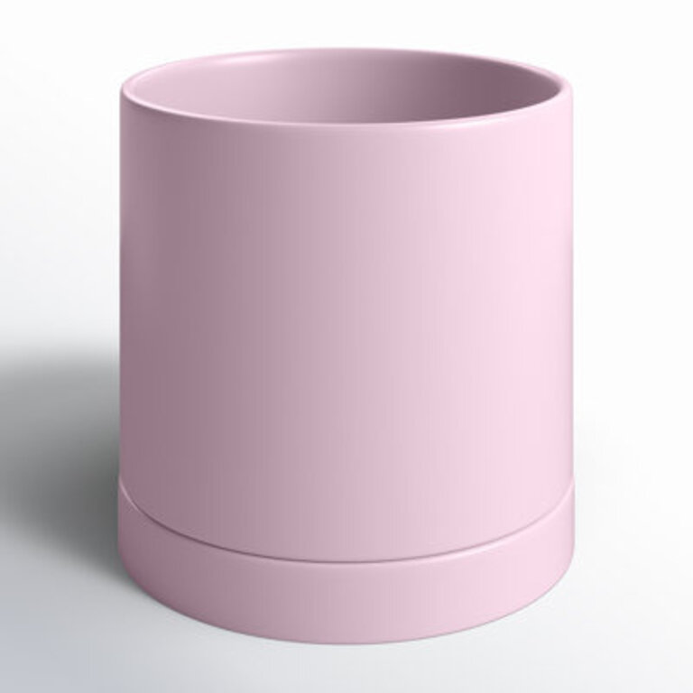 Carlotta Ceramic Pot Planter