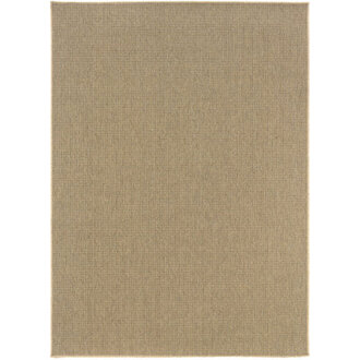 Eliana Indoor  Outdoor Area Rug in Light Brown