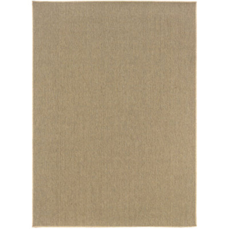 Eliana Indoor  Outdoor Area Rug in Light Brown
