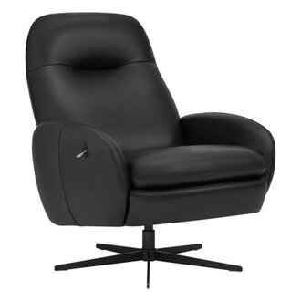 Danva Genuine Leather Swivel Recliner