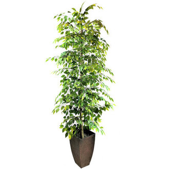 96 Faux Ficus Tree in Metal Planter
