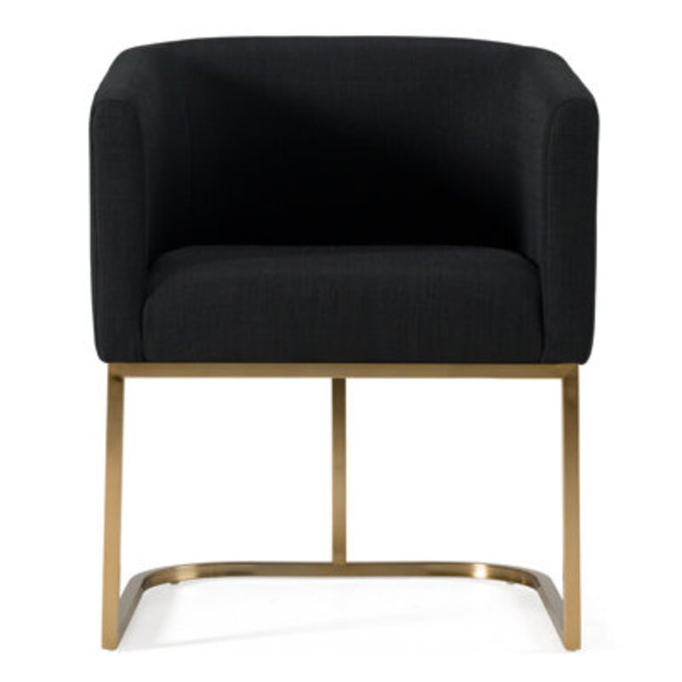 Echo Upholstered Arm Chair in Black