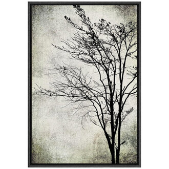 Dark Plants Profile  Grunge Tall Tree Silhouette