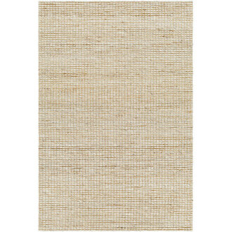 Striped Indoor Rug