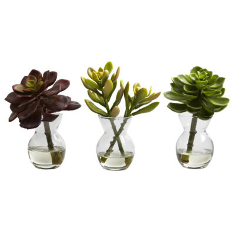 6 Faux Succulent Plant in Glass Decorative Vase