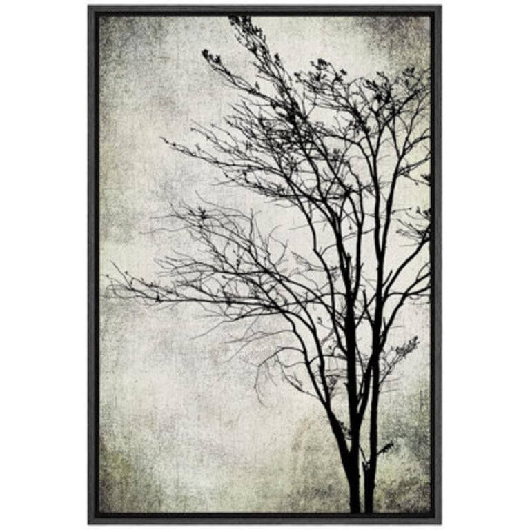 Dark Plants Profile  Grunge Tall Tree Silhouette