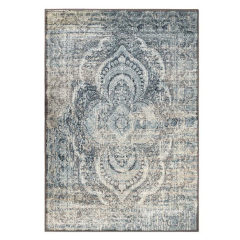 Iraheta Distressed Bohemian Medallion Indoor Runner or Area Rug