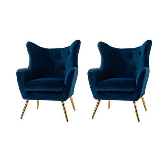 Avianna 2925 Wide Tufted Velvet Wingback Chair