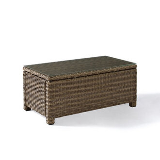 Leandra Rectangular Metal Outdoor Coffee Table  40 in W 21 in D