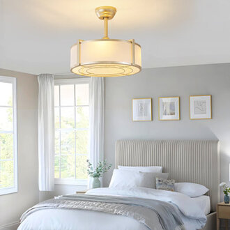 19 Modern Ceiling Fan With Light