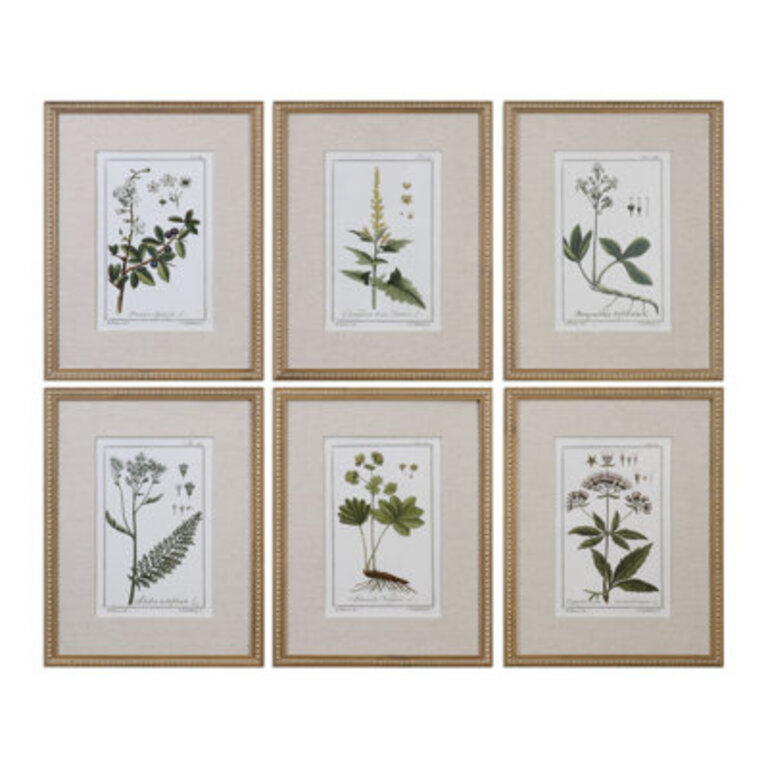 Green Floral Botanical Study by Grace Feyock Matted Distressed Gold Framed Graphic Art