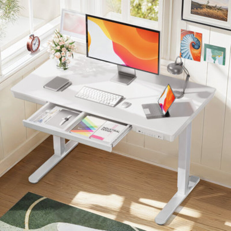 Flavio Height Adjustable Standing Computer Desk With Drawer and USB  Type-C Ports For Home Office