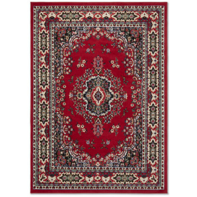 Modena Oriental Indoor Rug