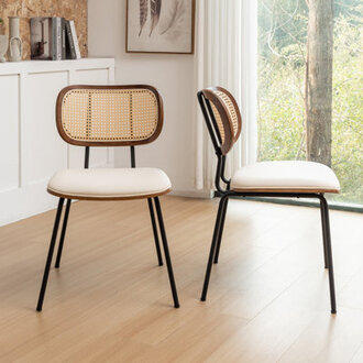 Bedran Vegan Leather Side Chair Dining Chair