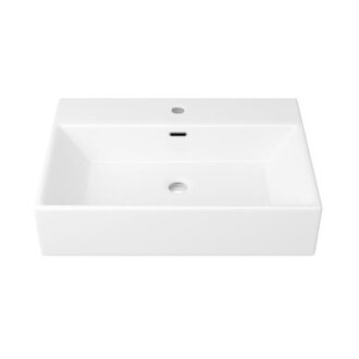 Turner 24 W x 16 D Vitreous China Rectangular Wall Mount Bathroom Vessel Sink with Overflow