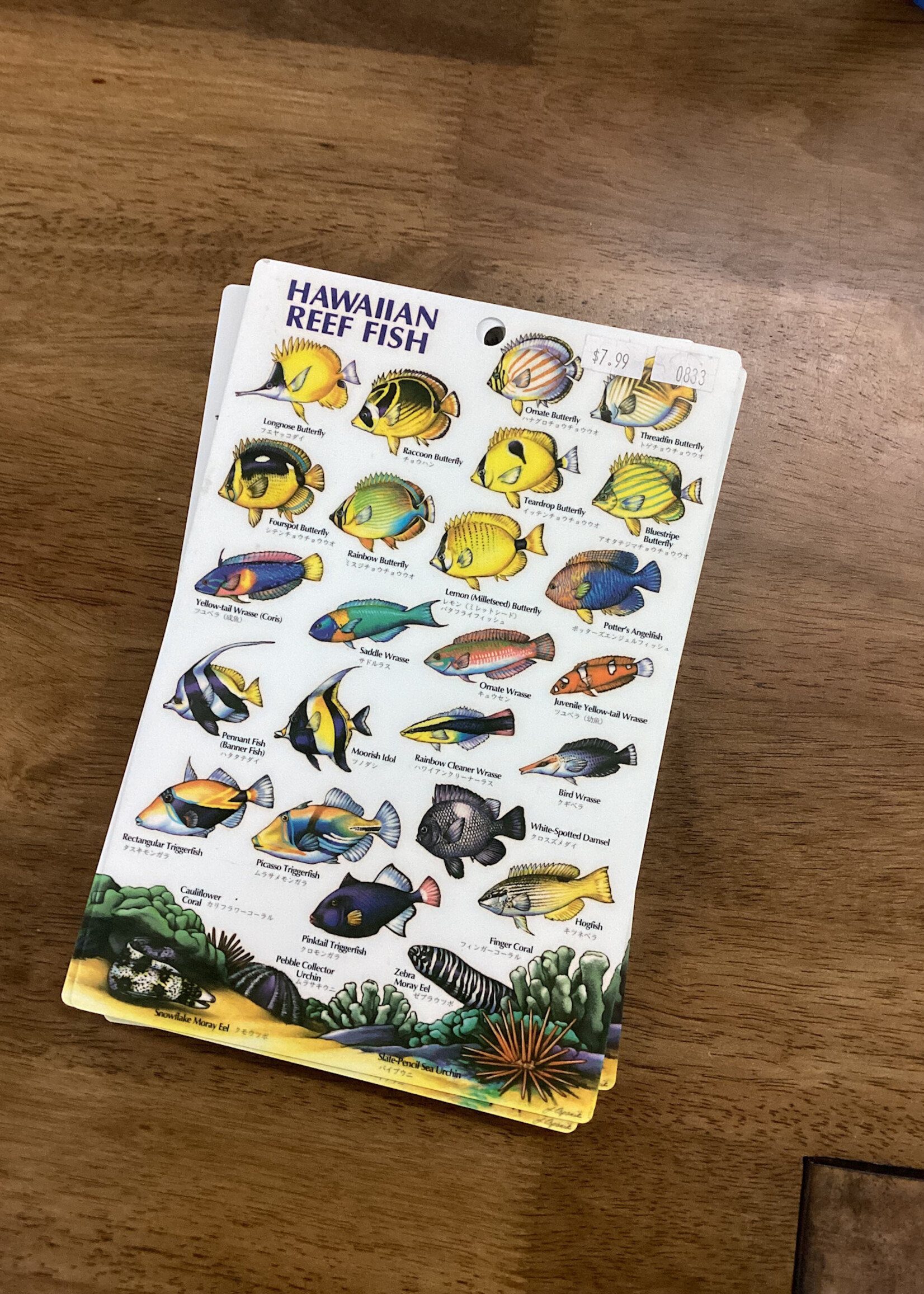 Sea Sports Hawaii Reef Fish ID Card
