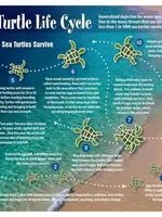 Franko Maps Franko Maps - Sea Turtle Life Cycle Card