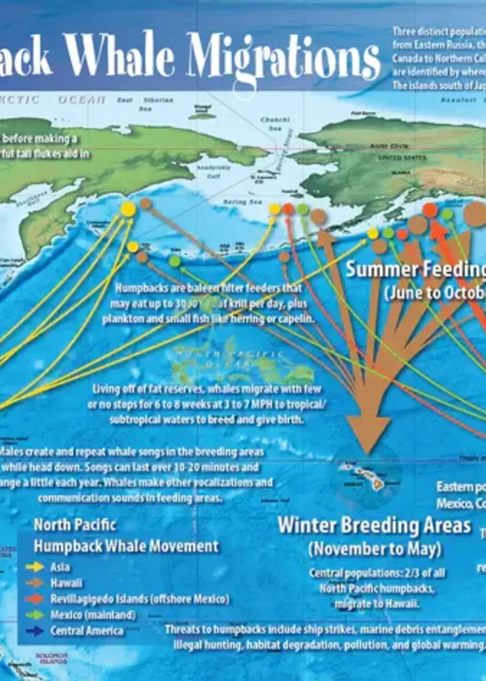 Franko Maps Franko Maps - Guide Card Pacific Humpback Whale Migrations