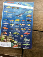 Franko Maps Franko Maps -  Big Island  Hawaii Reef Creatures - Mini Guide